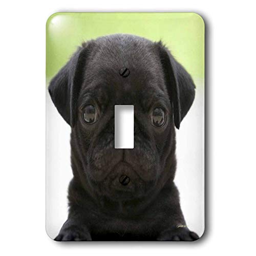 Interrupteur à bascule chiot plaque murale decorative 3dRose