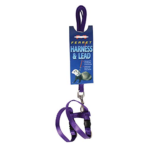 Image of Marshall Ferret Harness and Lead Set - 48 inch - Purple Color - Adjustable 3 /8 inch Flat Nylon with Quick-Snap Buckles - Escape-Resistant Design - Lead Included