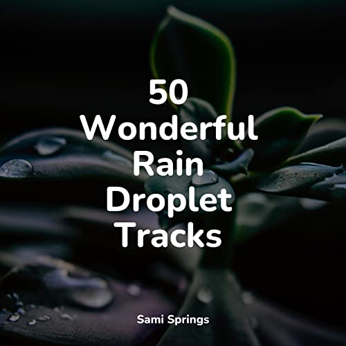 50 Wonderful Rain Droplet Tracks de Loopable Rain, Sleep Songs with