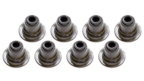 Chevrolet 12482063 Oil Seal Kit - Intake Valves Stems cover
