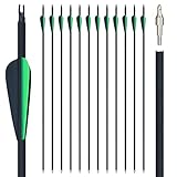 Carbonpfeile Bogenschießen 12 Stück Pfeile 30 Zoll mit Kunststoffbefiederung Ersatzschraube Feldpunkte Tipps für Recurvebogen, Langbogen und Compoundbogen (Schwarz & Grün)