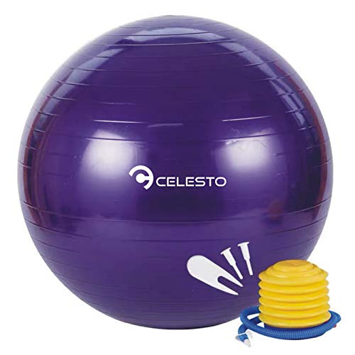 CELESTO Exercise Ball, Yoga Ball for Fitness, Stability Ball Chair with Pump, Anti Burst Balance Ball, Professional Quality Workout Ball, Birthing Ball, Fitness Ball, Exercise Ball Chair