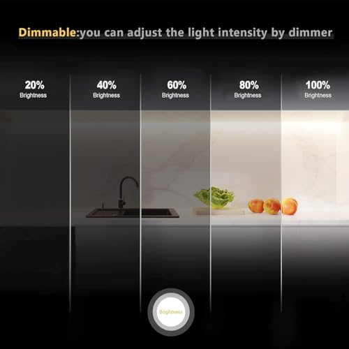 Tira de LED Neon Impermeable IP67 16.4in 6000K Blanco Frío miniatura 5