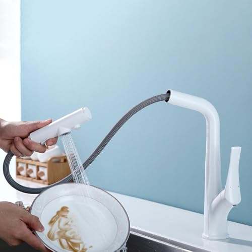 Robinet eau potable double sortie à poignée unique et douchette blanche