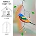 Painted Bunting Birds Handmade Stained Glass Suncatcher Stained Glass Window Hangings Unique Kitchen Decoration (Painted Bunting)