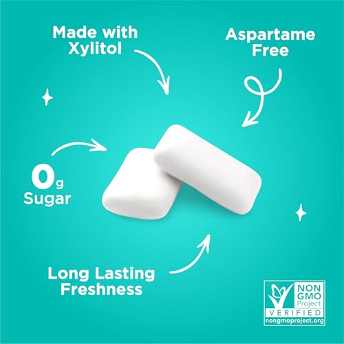 Image of PUR Gum | Aspartame Free Chewing Gum | 100% Xylitol | Natural Wintergreen Flavored Gum, 55 Pieces (Pack of 1)