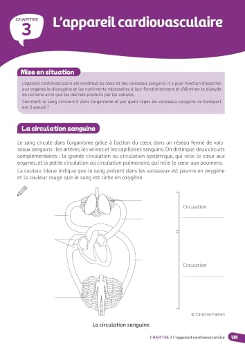 Biochimie - Biologie cellulaire - Anatomie: L'essentiel pour préparer ses études en santé – vue 3