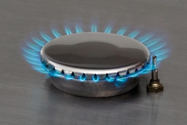 Close-up of a single gas burner on the Enders Brisbane stove, showing a blue flame emanating from the burner head.