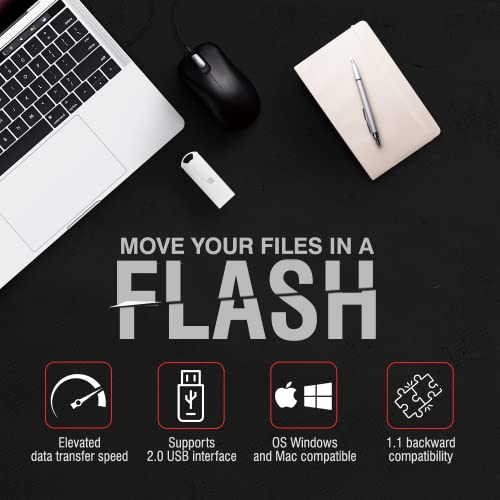 Image of iBall Pendant 8 GB USB 2.0 Flash Drive OS Compatibility with Windows and Mac (Silver)