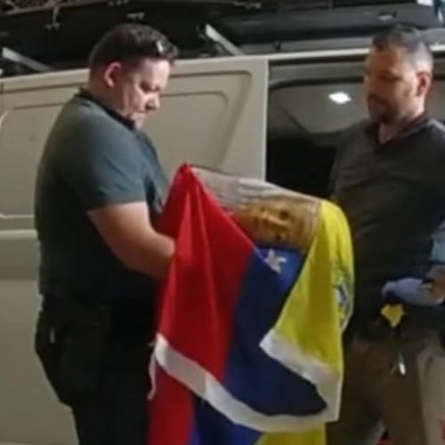 Man steals Egyptian Artefacts from Caboolture museum; And Elordi and Robbie surprise Brisbane movie-goers