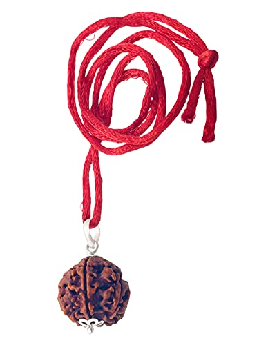 Image of Siddha 6 / Mukhi Pure Rudraksha, Laboratory Certified, Carefully Capped with Silver Between Nepalese Beads with Handmade Tassel, Size 16mm-22mm, Color-Brown (6 Mukhi Silver Rudraksha)