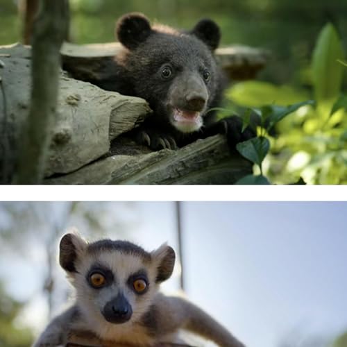 Born to be Wild Interview