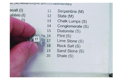 Image of United Scientific Rocks Set of 20, Geology Rock Set