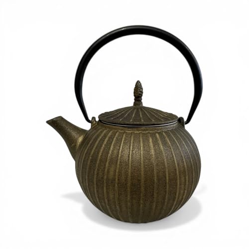 SO SKIN IDASY – Théière japonaise en fonte 0.9L, style traditionnel, forme citrouille, filtre en acier inoxydable alimentaire, intérieur émaillé,...