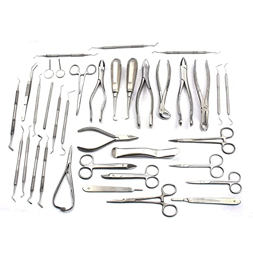 LAJA IMPORTS 3 Piece Set Dental TARTER Tartar Scraper and Remover Set Dental Hygiene Instruments Ideal for Dentist, Student, Personal Set and Hobby Tool