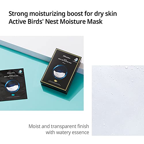 Active Bird Nest Mask