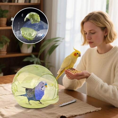 Nid d'oiseau transparent Générique en bois pour perruches et canaris 22x18cm - 5