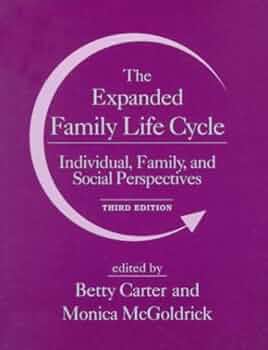 語学+参考書 Generation to Generation: Life Cycles of the Family Business 語学+参考書 Generation to Generation: Life Cycles of the