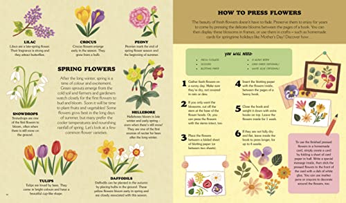 Little Country Cottage: A Spring Treasury of Recipes, Crafts and Wisdom