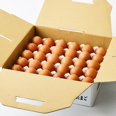 大分生まれのAW飼い有精卵「豊の米卵」30個入り