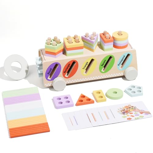 WOODENFUN Montessori Holz Spielzeug, Form und Farbe Klassifizierung Spiel, Gear Spielzeug 3-in-1 Geschenk für Kinder (Farbe 2)