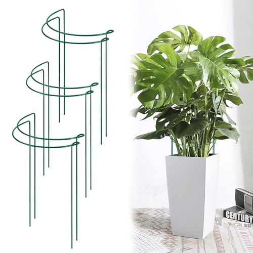 Halbrund Pflanzenstütze Ringkäfige,6 Stück Pflanzenhalter Metall,Ringkäfige für Gartenpflanzen,Staudenhalter Blumenstütze,Pflanze Rankhilfe für Gemüse,Tomaten,Pfingstrosen,Rosen,Topfpflanzen (20*35CM)