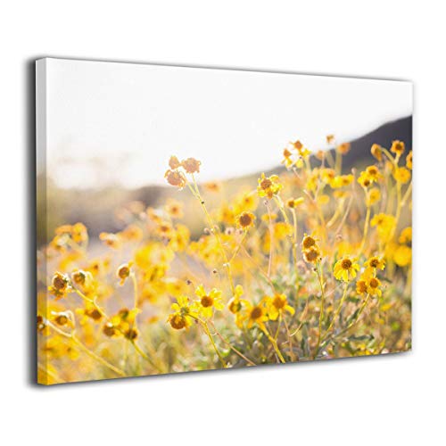 Tour Edge Hot Launch E525 VIBRCOR Sand Wedge 56* (Graphite UST Helium Black, Stiff, Left) 2025