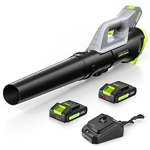 Top 10 Best Electric Backpack Leaf Blower Reviews & Buying Guide
