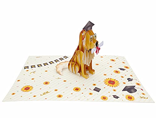 Liif 2023 Graduation Dog 3D Greeting Pop Up Graduation Card - Funny, Congratulations, Grad Announcement, Class Of 2023 - For College, High School, Son, Daughter, Phd, Master #TOP2