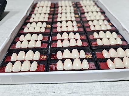 Dental Leo, Dent Acrylic, Teeth Kit Sets, Shade Of Teeth- (23) (B0CB8WBZT9) Amazon Price History, Amazon Price Tracker