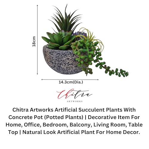 Image of Art Works Chitra Art Works Artificial Plants with Pot | Realistic Faux Greenery, No Maintenance, Durable Plastic | Home & Office Decor, Indoor Use | 18x15cm (Pack of 1)