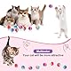 Bremorou 30 Stück Filzbälle Katzen Kleine Plüschbälle Regenbogen Katzenspielzeug Bälle Katzenbälle, Spielball Katzen, Bunt Katzenball, Weiche Katze Bälle, Interaktives für Haustierkatzen