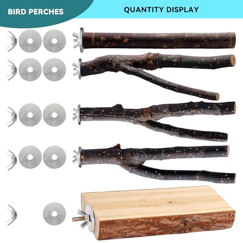 Image of Bird Toys Parakeet Perch Budgie Perch Wood Stand Fork Toys Multi-Branch Perch Platform Toy for Small Conures,Cockatiel,Parrotlet,Lovebird,Parrot,Finches