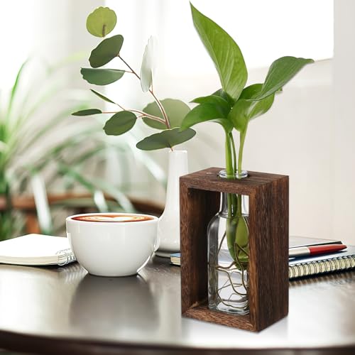 Boutures et terrarium : le support robuste en bois contre les chutes - 8