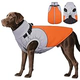 DENTRUN Dog Coat with Harness Built in, Easy On/Off Zipper Closure Winter Dog Vest, Fleece Lined Warm Jacket with Reflective for Labrador, Orange, L