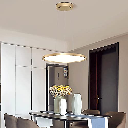 Lámpara colgante de disco acrílico para renovar techos con luz moderna 3