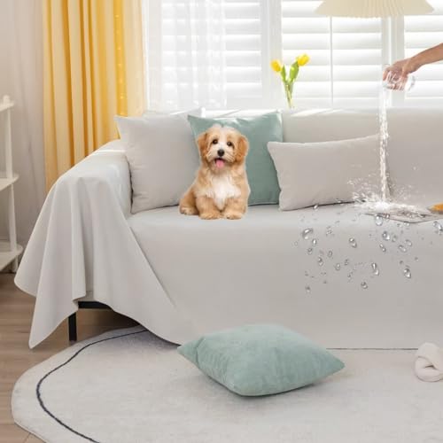 §rtfn}`Jo[ h \t@[Jo[ Sʖh H 邾[ ` 唻 L΍ \t@[V[c 3l|k  LpV[g uPbg n ybgΉ h~ LYh~ ~ Yɂ J[ybg @\ 