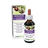 Ippocastano (Aesculus hippocastanum) cortecce e semi Tintura Madre analcoolica NATURALMA | Estratto liquido gocce 100 ml | Integratore alimentare | Vegano