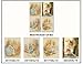 Impact Posters Gallery The Tale of Peter Rabbit Beatrix Potter Kids Room Four Set 8x10 Wall Decor Art Print Poster