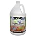 Eco-Etch Pro Concrete Etcher, Concrete Cleaner & Efflorescence Remover, Non Toxic Acid Etch That Won't Fume or Burn Skin, A Safe Muriatic Acid Cleaner Alternative