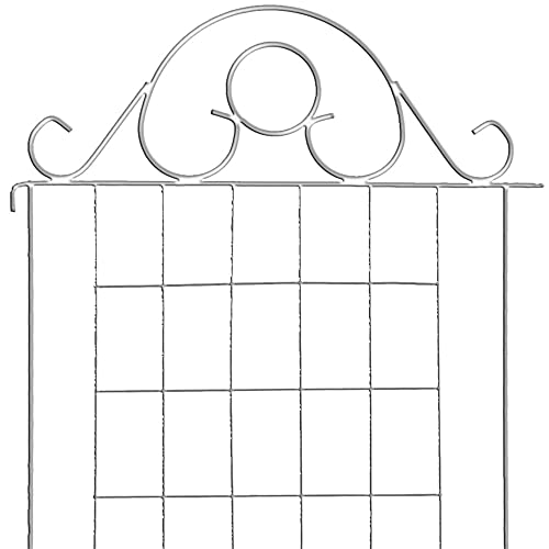 Cerca Firenze Alambre