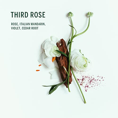 CORPUS - Third Rose Natural Plant-Based Deodorant | Vegan, Cruelty-Free, Non-Toxic, Made In The USA - Image 4