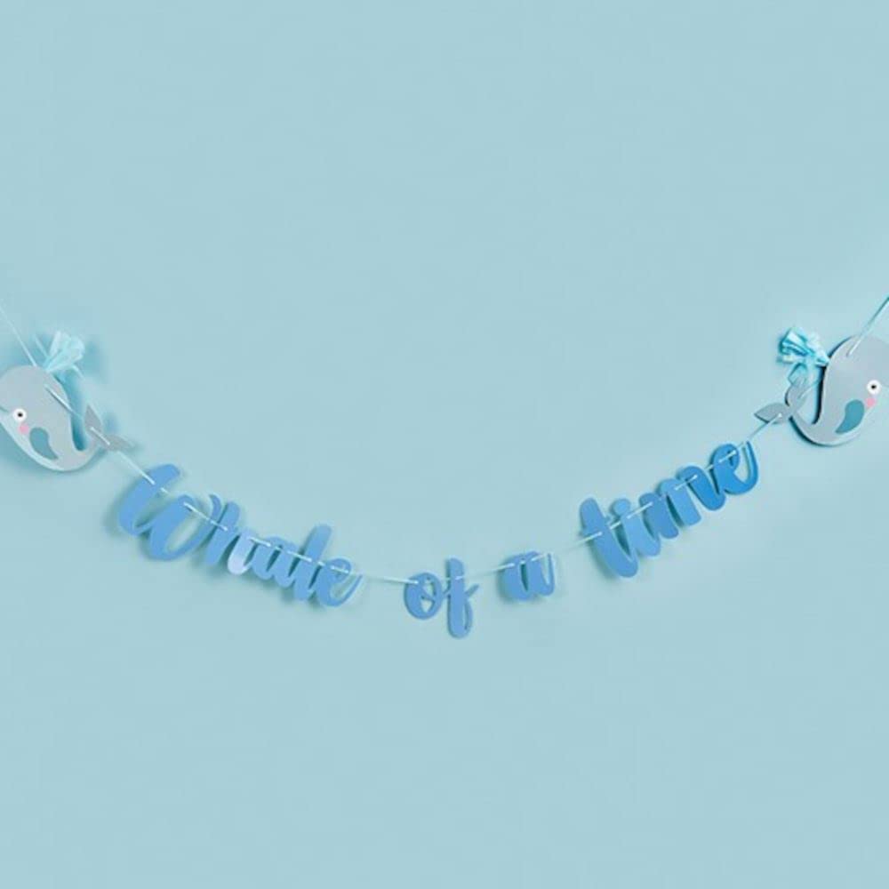 Whale of a Time Tassel Card Banner 2m, Under the Sea Party Banner Decoration for Baby Shower, Birthday and Ocean Theme Celebrations
