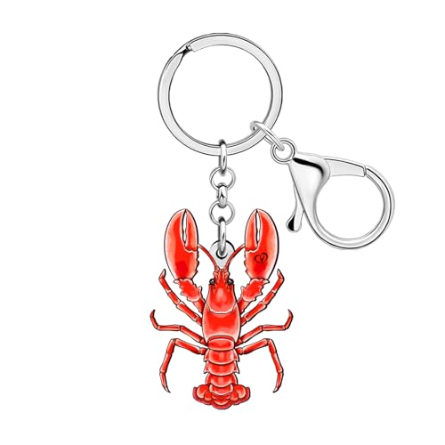 DALANE Acrilico Divertente Aragosta Rossa Portachiavi Auto Chiavi Portafoglio Zaino Portachiavi Accessori Animali Marini Regali per le Donne Ragazze Charms (Rosso)