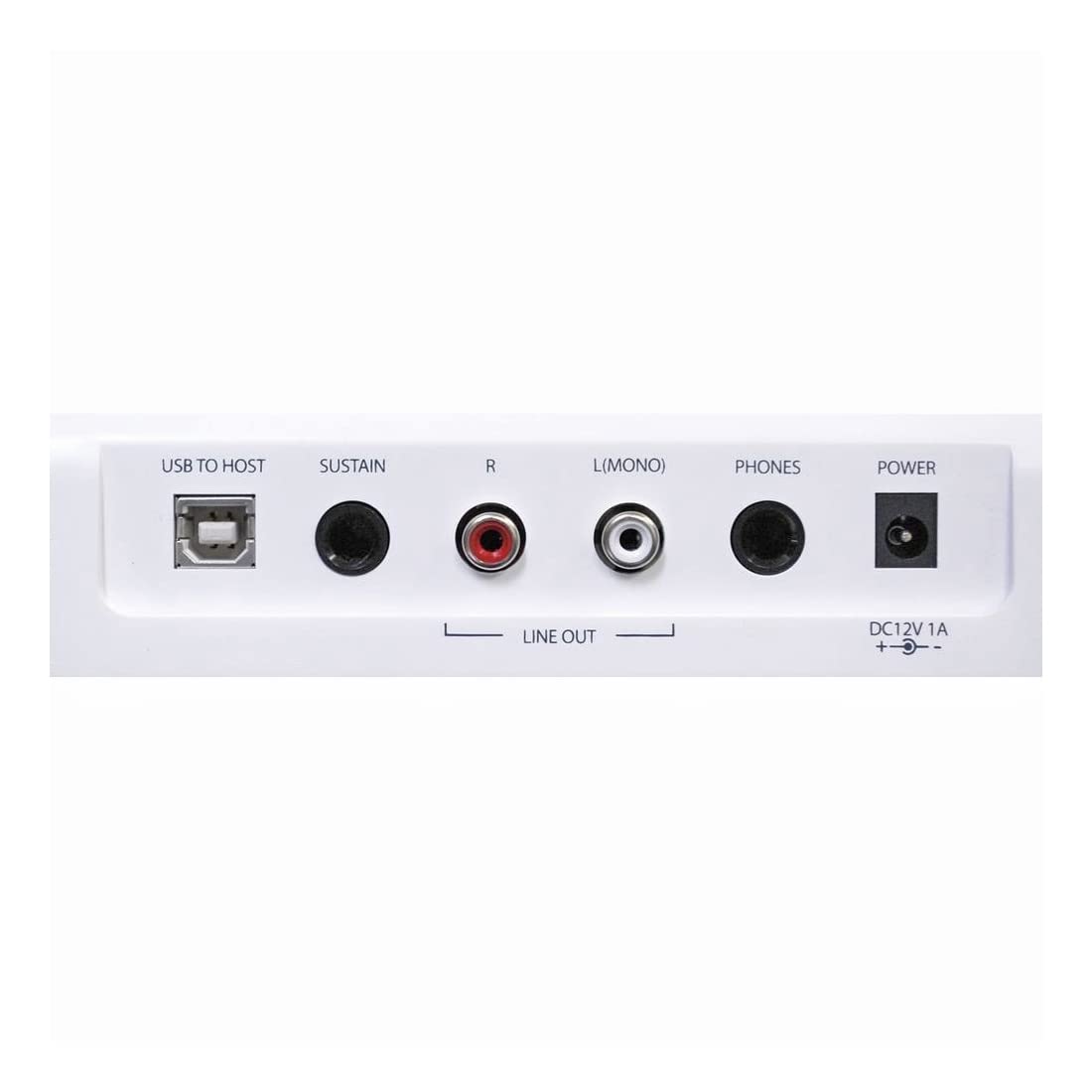 Artesia PE-88 Digitalpiano Weiss + keepdrum Keyboardständer