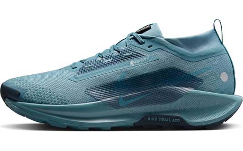 Nike Pegasus Trail 5 Gore-TEX wasserdichter Herren Traillaufschuh, Smokey Blue/Smokey Blue-Light Silver, 45 EU