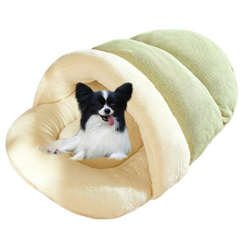 Lifetips psiPapillonj ybgxbh Lp ~p Q܌^ ӂӂ NbV ۉ h 􂦂 ^ ^   k \t@ nEX ObY o Ή Q R hL  AQ