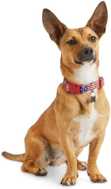 YOULY by Petco American Flag Dog Collar American Flag X-Large/XX-Large