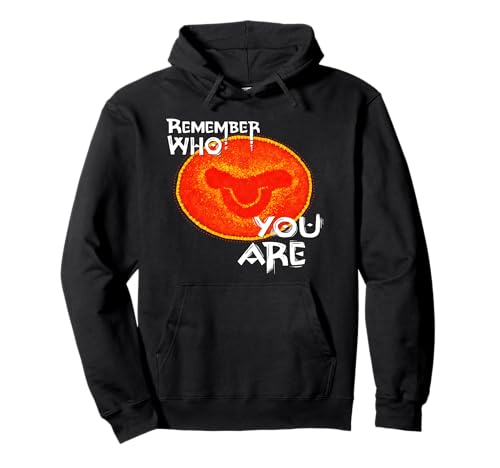 Sweat Lion King Remember Who You Are sweat à capuche noir de coton