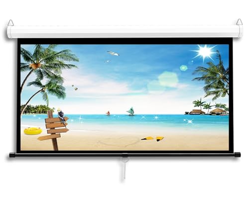 Schermo per Proiettore HD Telo Proiettore Manuale con Auto-bloccaggio,Schermo Videoproiettore per Home Theater,Cinema,Ufficio(60in/147cm)
